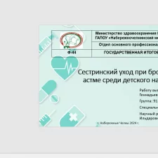 Иллюстрация №1: Презентация к курсовой работе на тему: \»Сестринский уход при бронхиальной астме среди детского населения.\» (Презентации - Медицина).